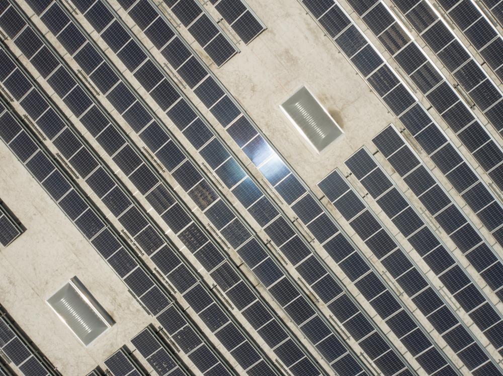 Why Choose Solar Energy?