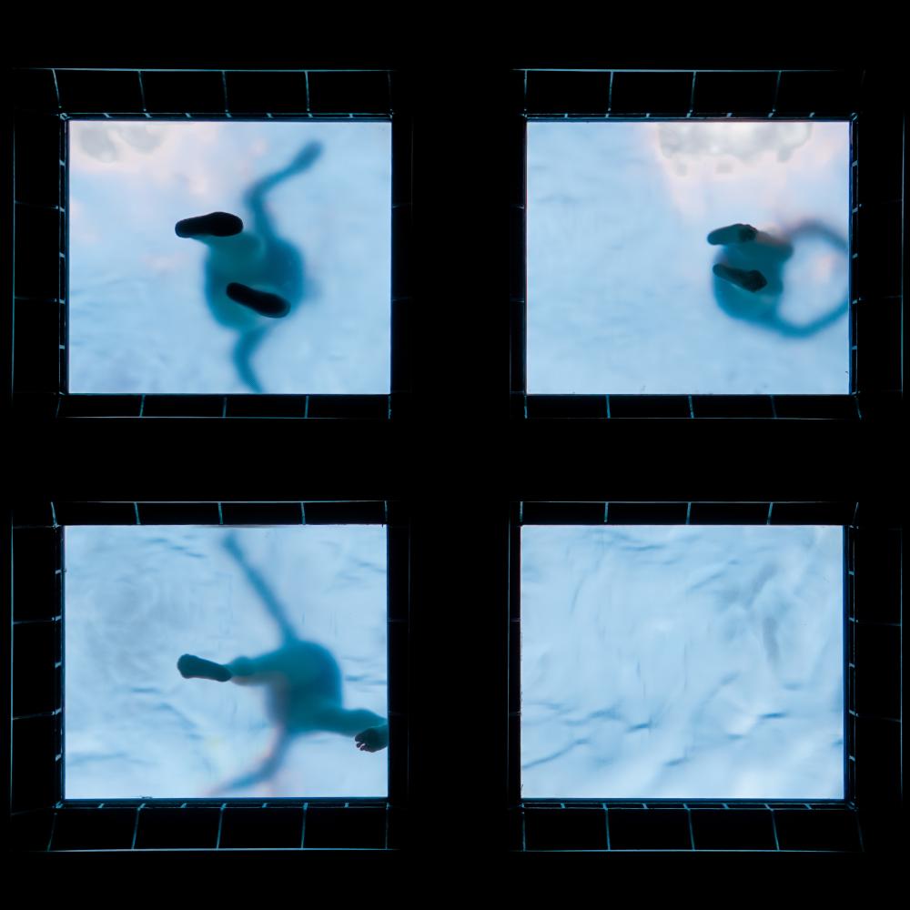 Transforming Your Pool into a Dreamscape