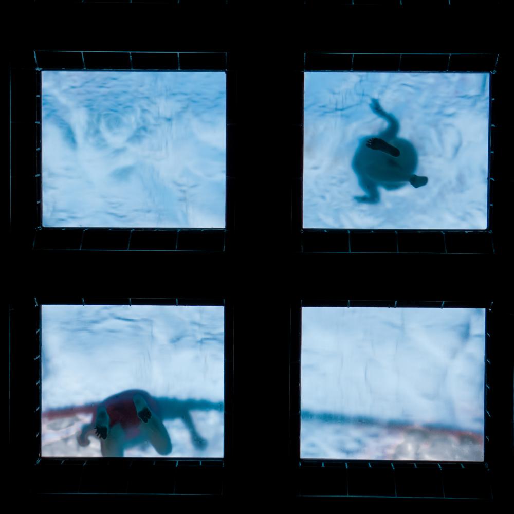 Client-Focused Solutions