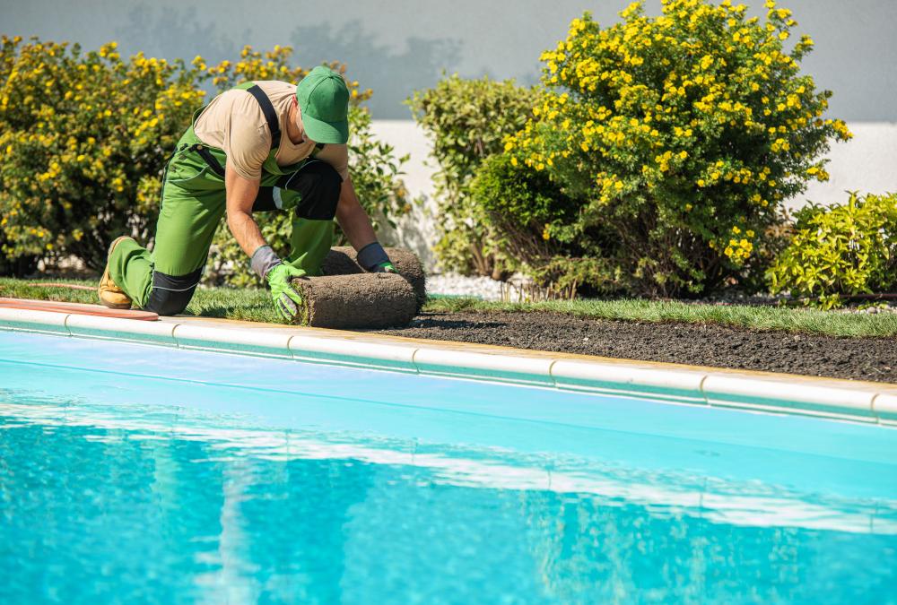 The Art and Science of Pool Installation