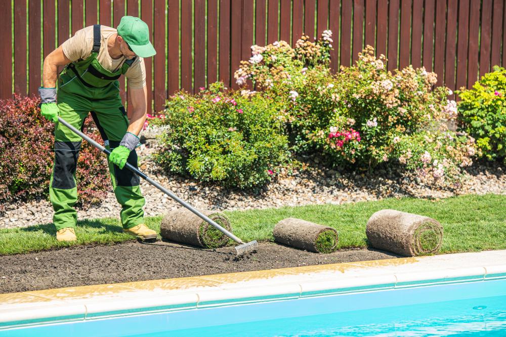 Comprehensive Services from Bliss Pools