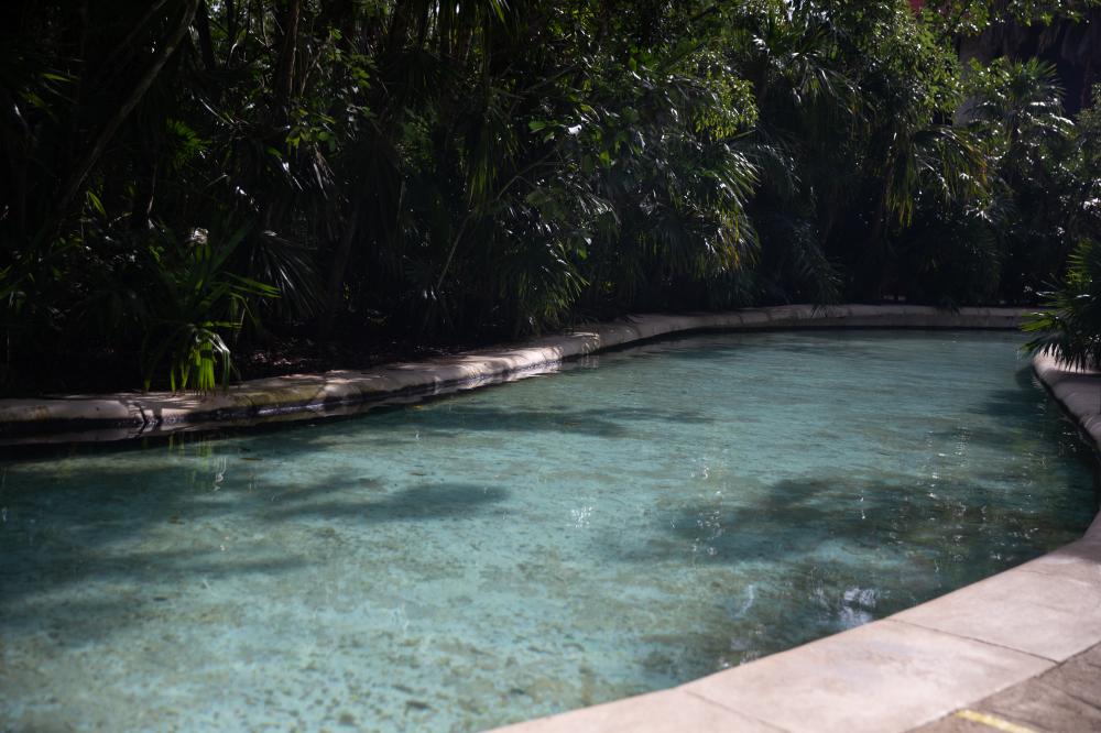 Personal Stories and Experiences