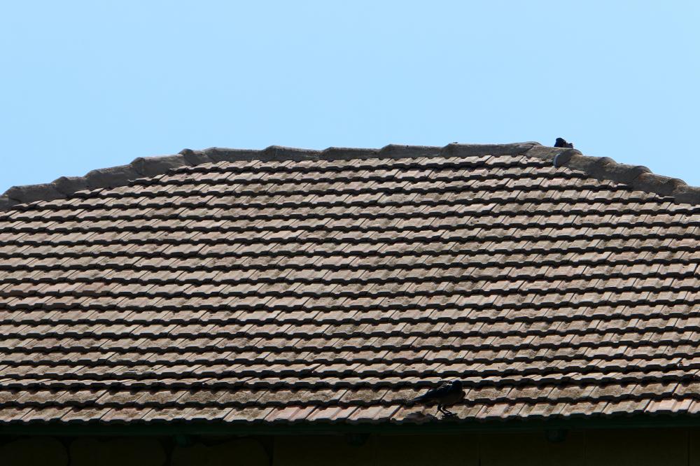 When to Consider Roof Replacement?
