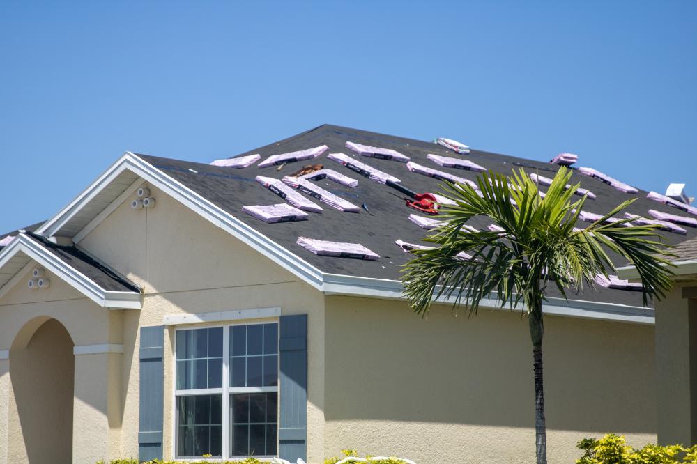 Why Choose Alamo Roofing