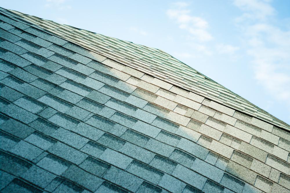 Common Roofing Services to Consider