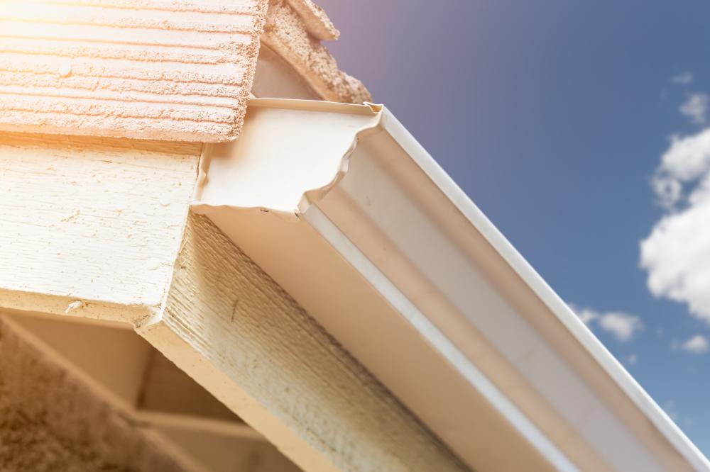 Choosing the Right Gutter Services in Mount Dora FL