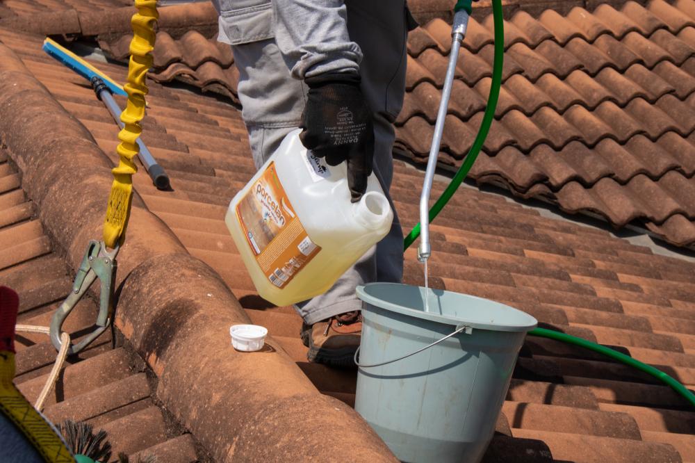 Why Professional Roof Cleaning Matters