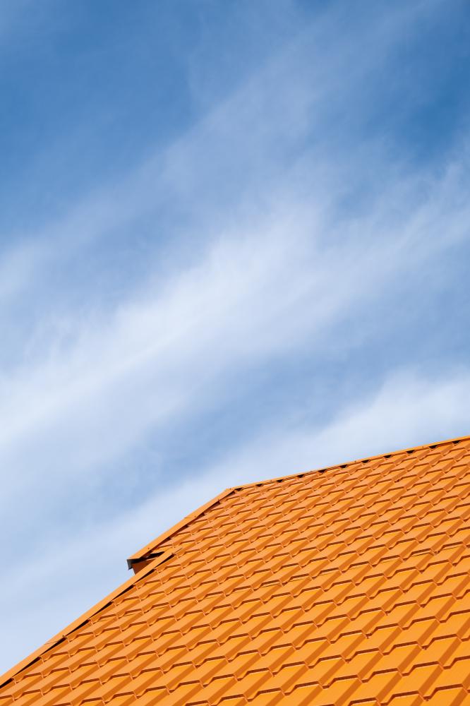 What Types of Roofs Do We Service?