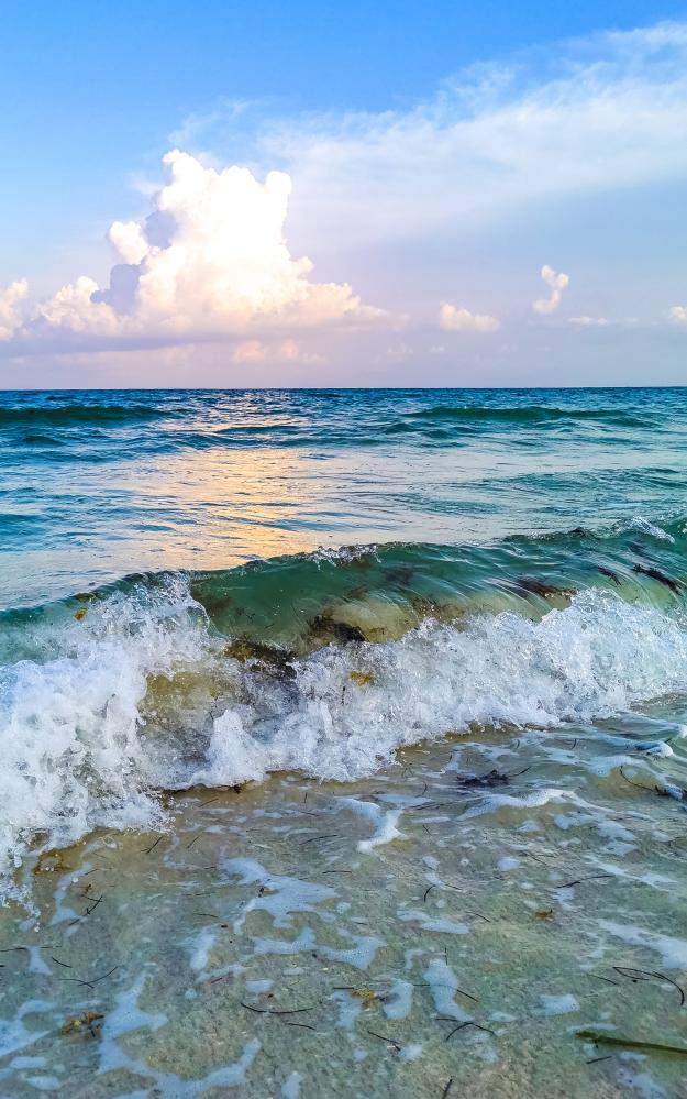 What Makes Detox in Palm Beach County Essential?
