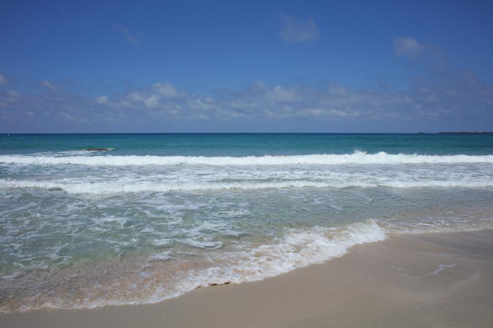 Why Choose Palm Beach Detox?