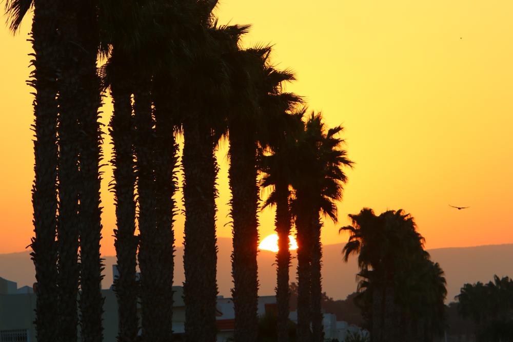 Why Regular Maintenance Is Key