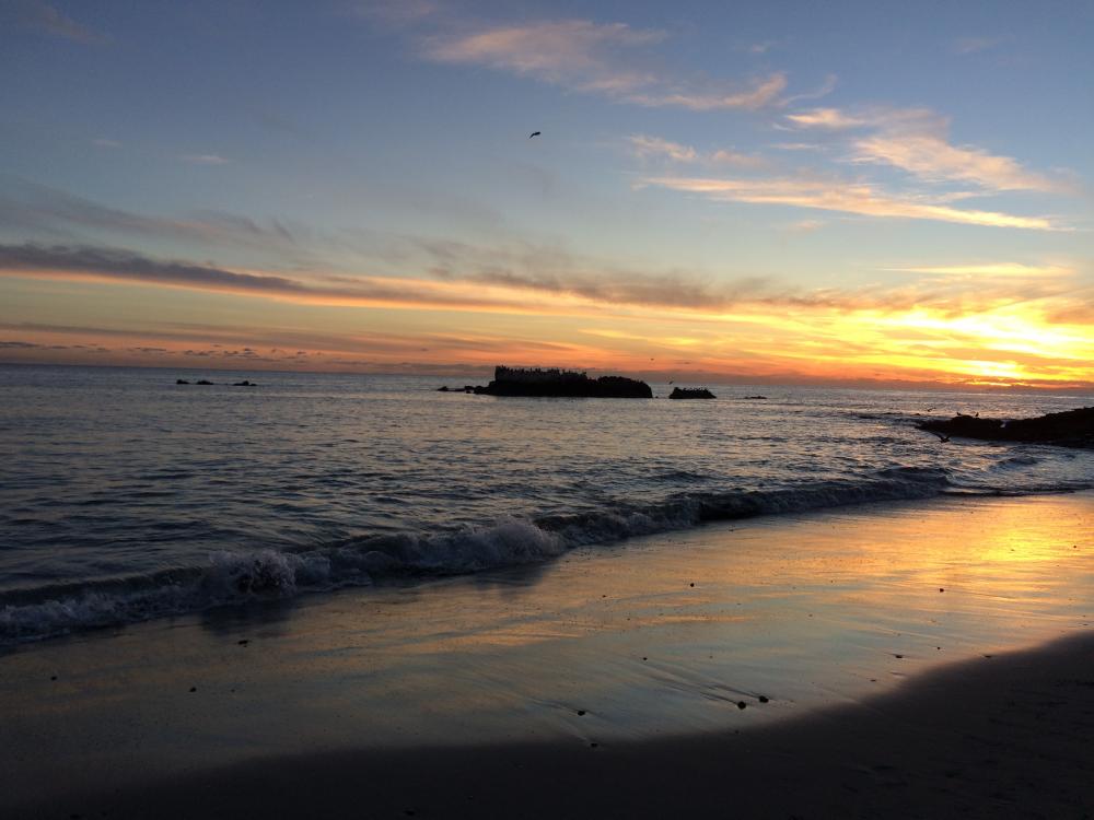 Therapy Techniques in Drug Rehab Malibu