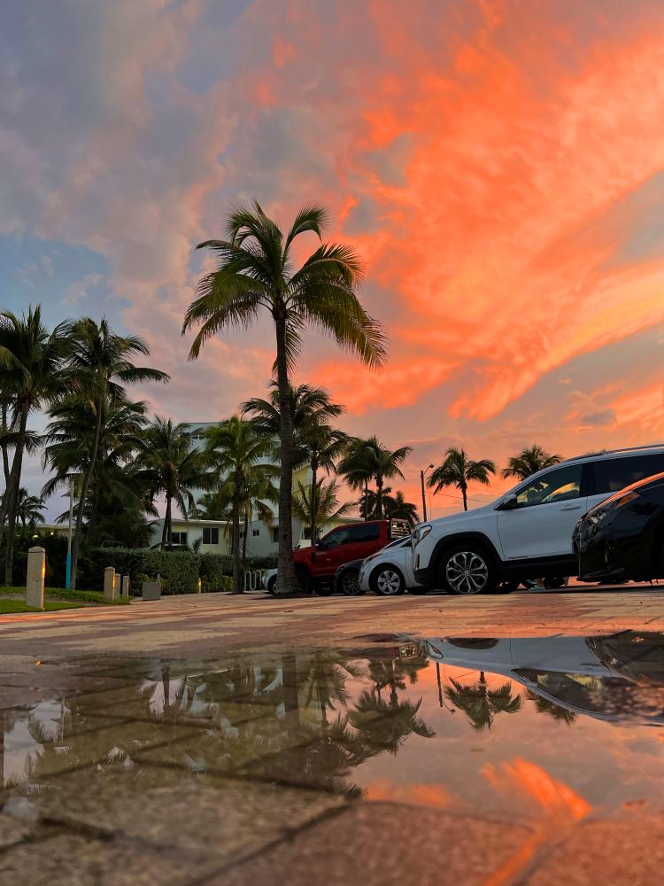 Why IOP West Palm Beach Is Effective