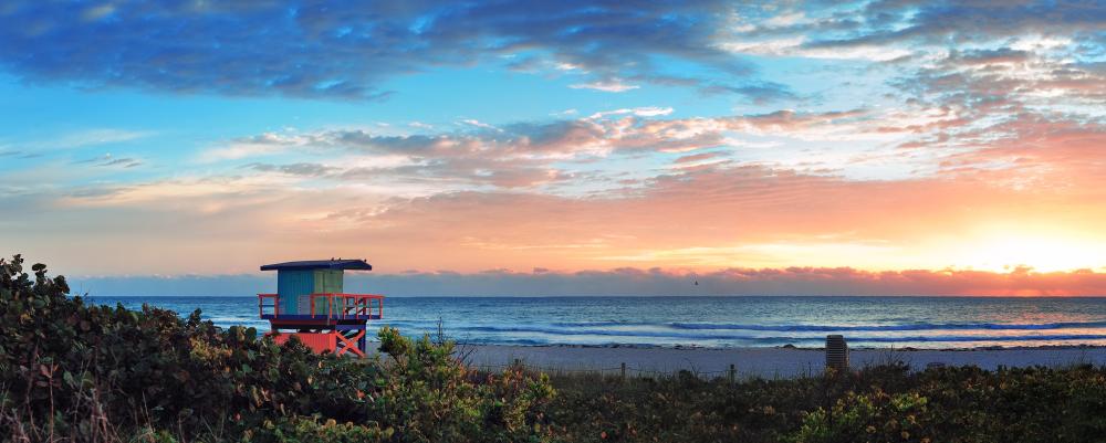 What Sets IOP West Palm Beach Apart?