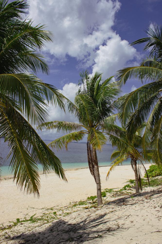 How Does Palm Beach Recovery Work?