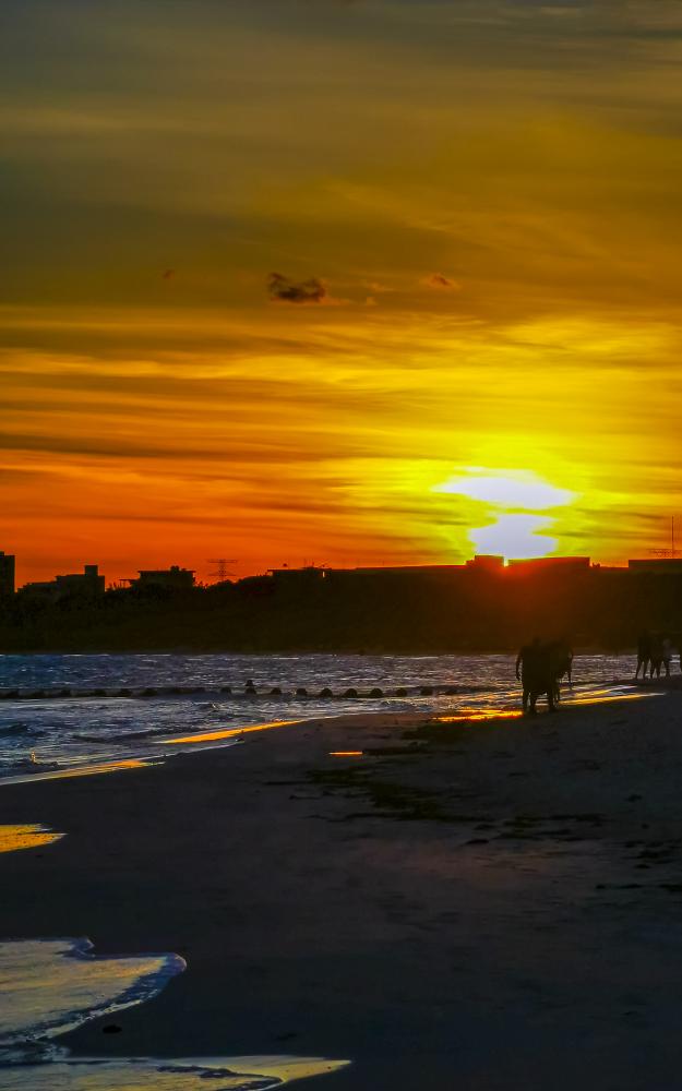 What Qualifies as the Best Drug Rehab Florida?