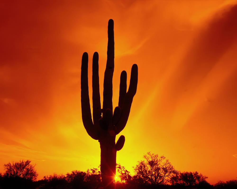 Unique Benefits of the Intensive Outpatient Program Scottsdale