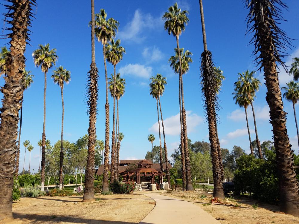 What Makes So Cal Rehab Unique?