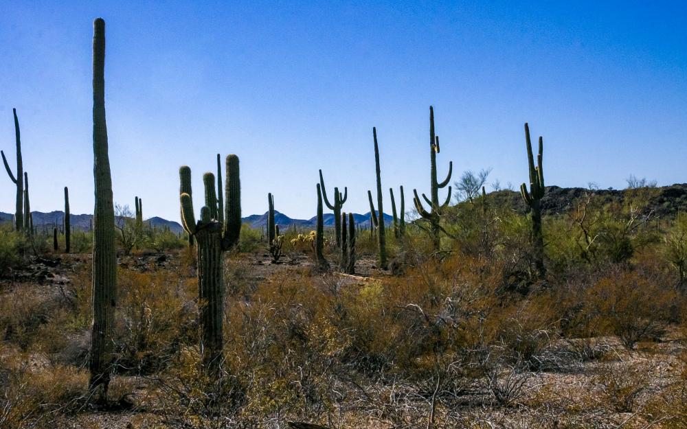 Multidisciplinary Care at Its Best