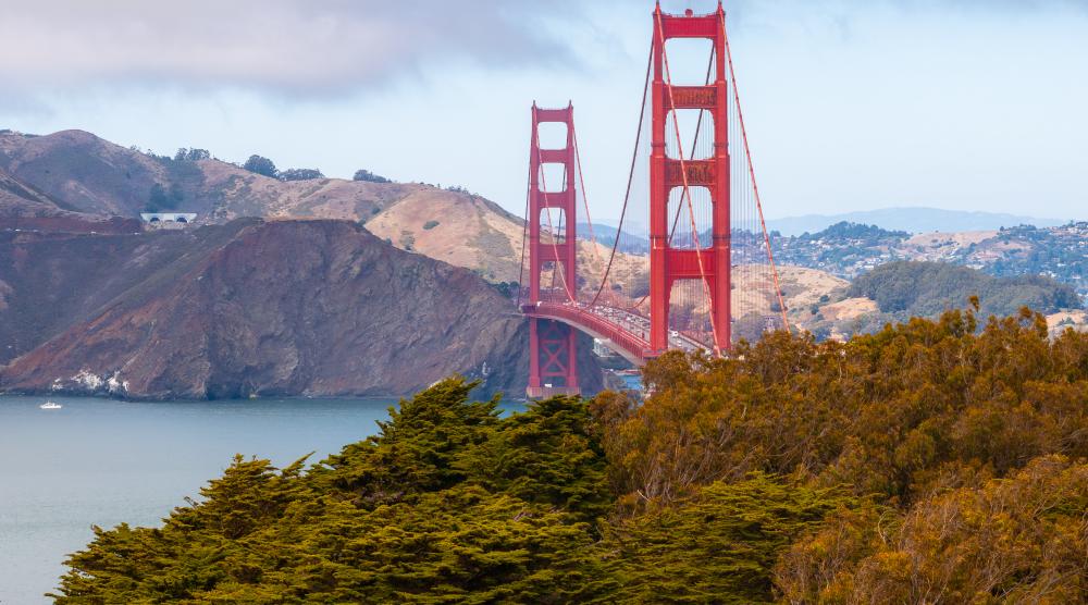 What Are the Challenges of Addiction Treatment Bay Area?
