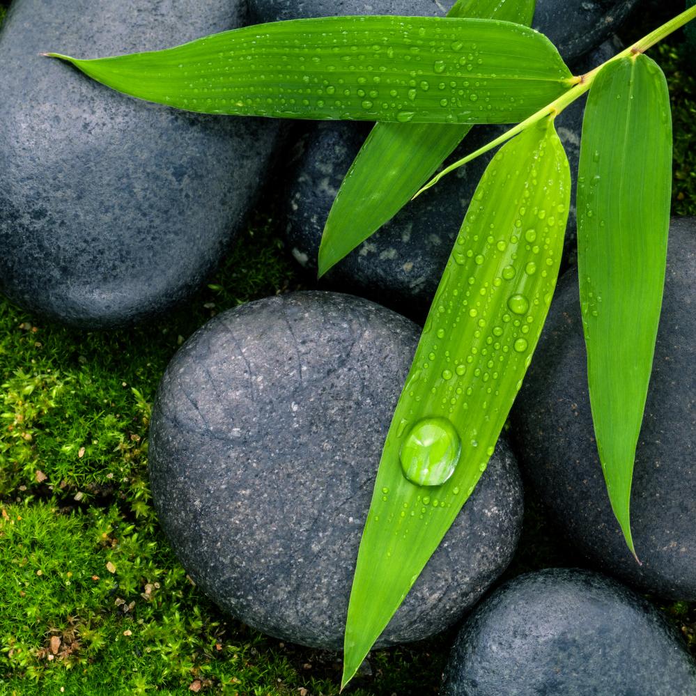 The Power of Evidence-Based Practices