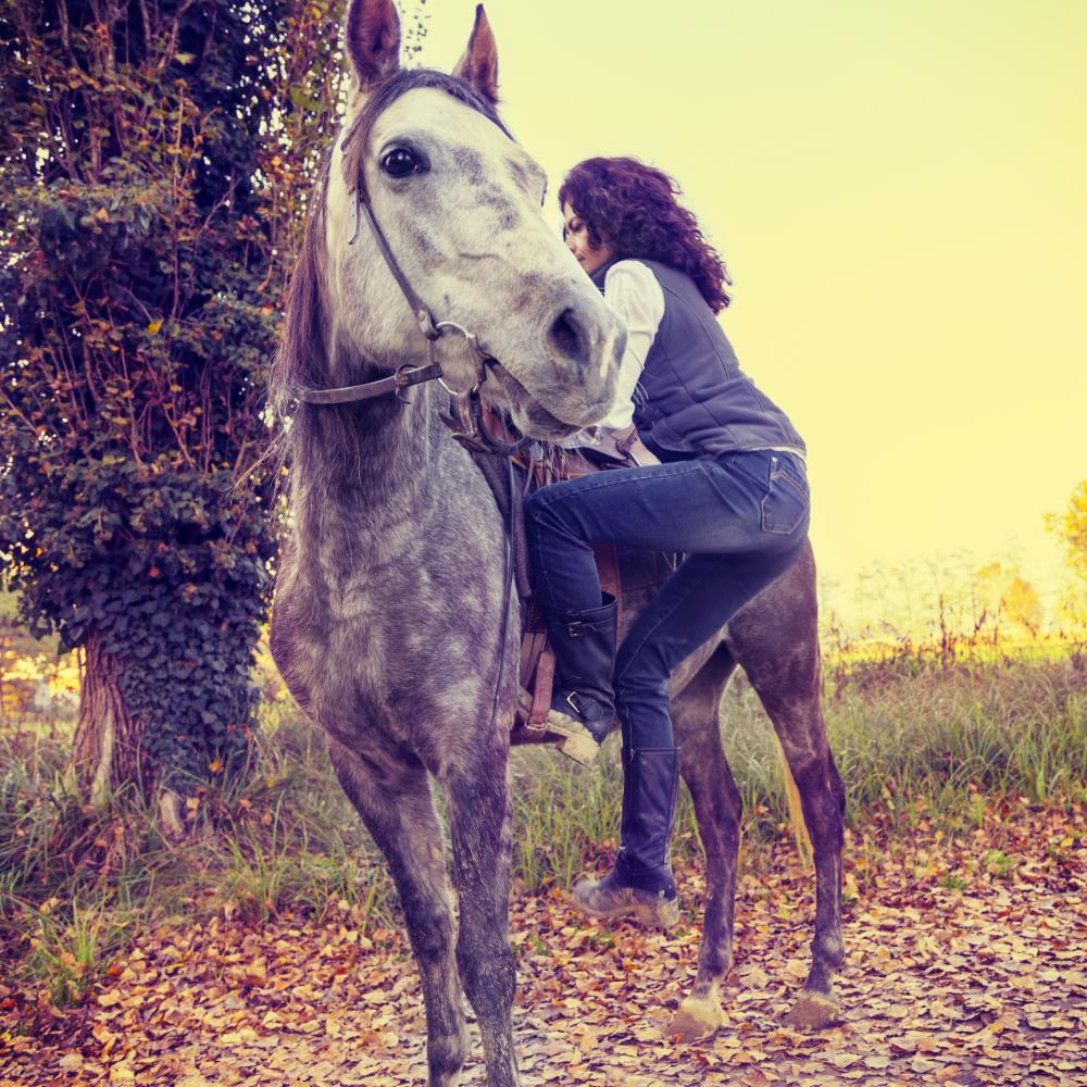 Client experiencing transformative growth with equine therapy