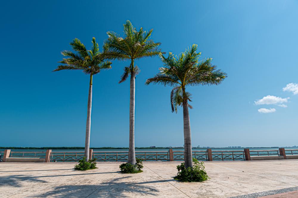 What Qualifies as an Outpatient Rehab Emergency in West Palm Beach?