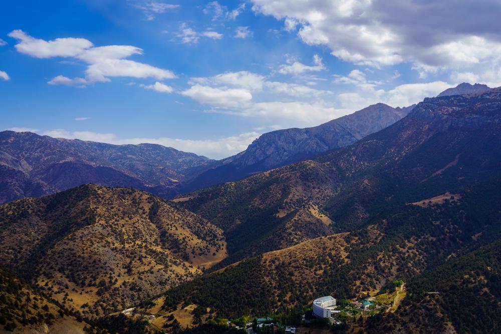 What Helps Loma Linda Stand Out?