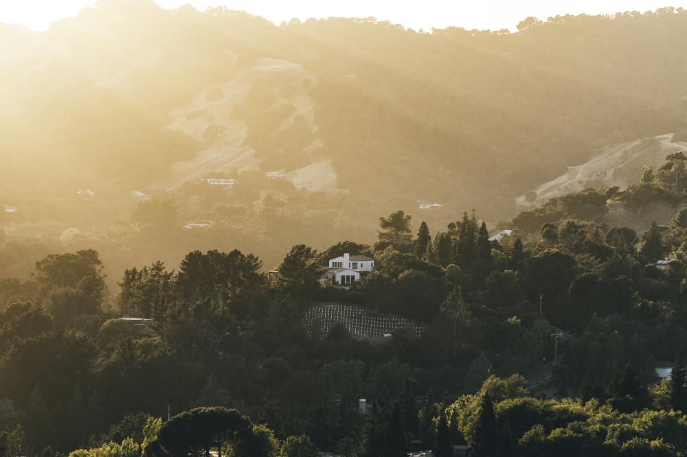 Benefits of Choosing a Hollywood Rehab Center