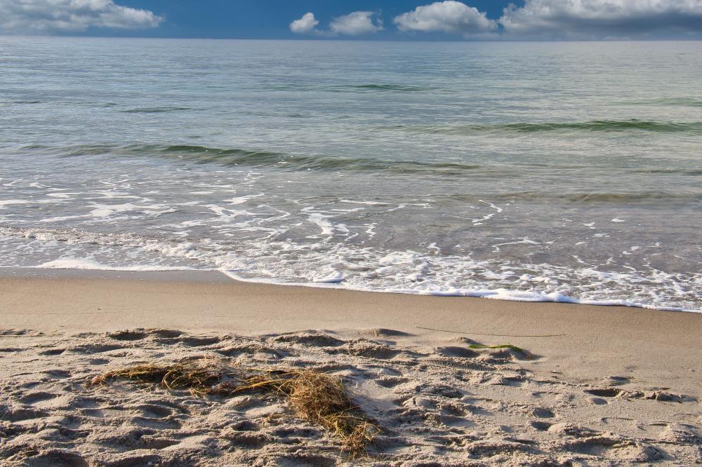 Why is Family Support Crucial in Addiction Treatment West Palm Beach?