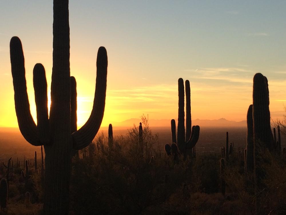 What Qualifies as an Authorized Viking Appliance Repair Phoenix Emergency?