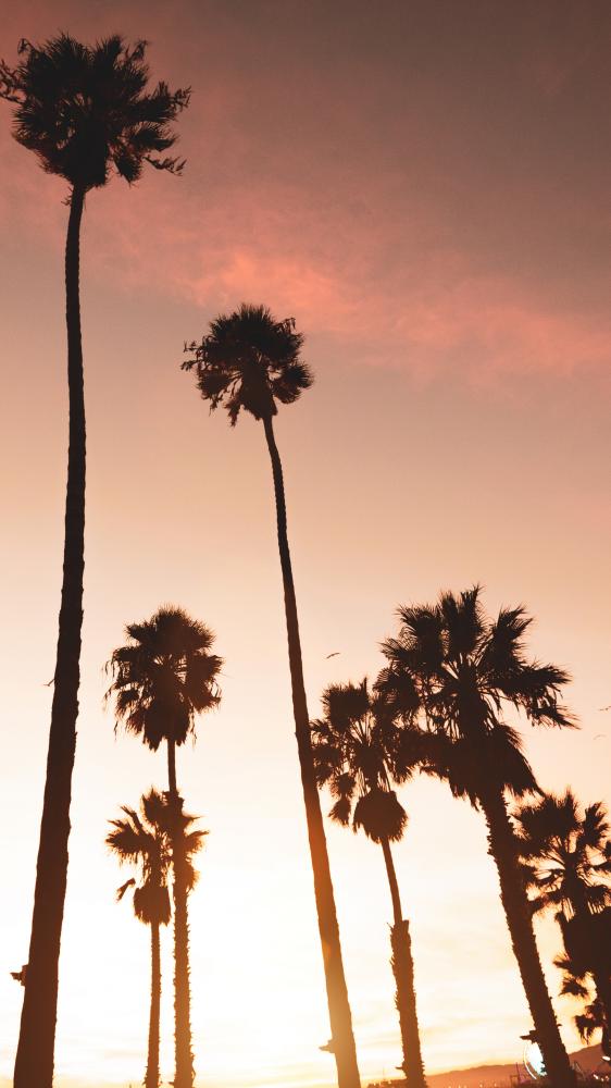 Unique Challenges Facing HVAC Contractors in Malibu