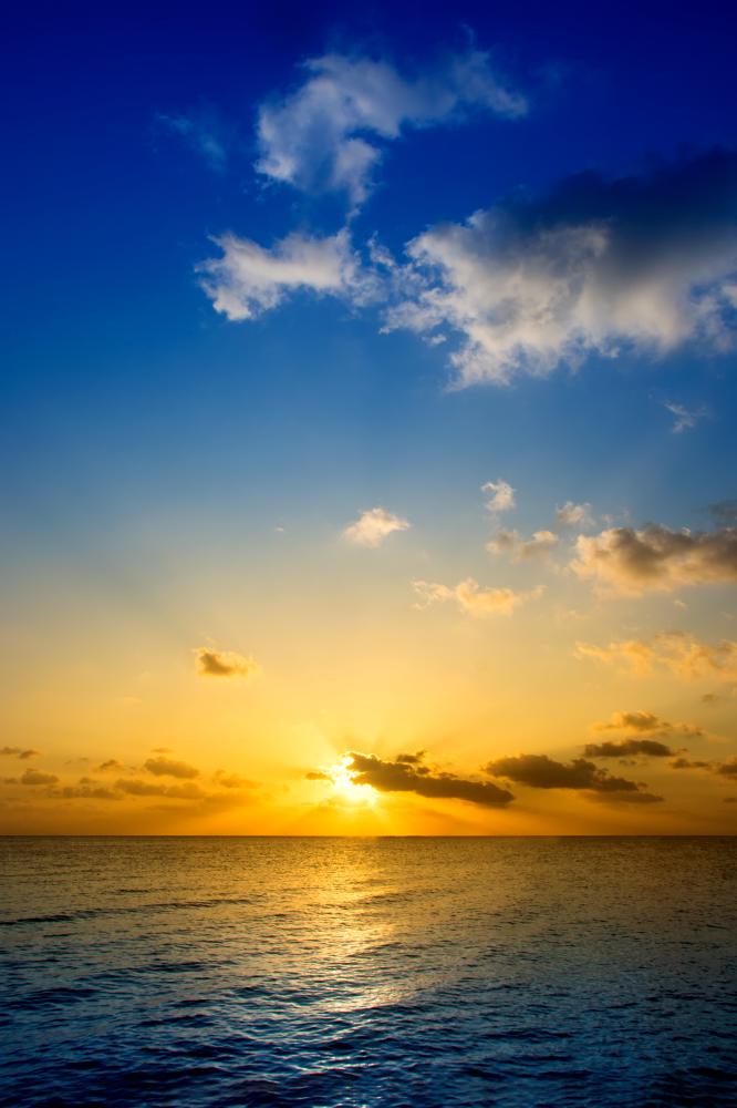 Programs Offered in West Palm Beach