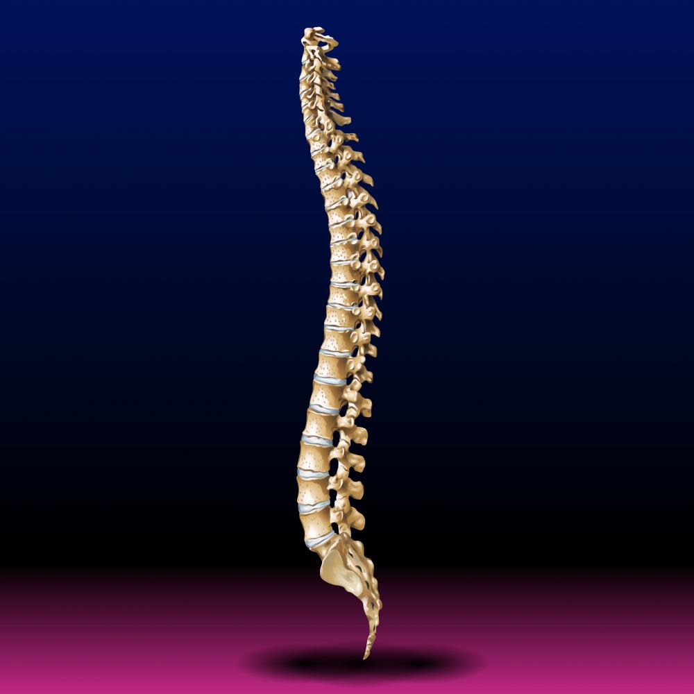 Specialized Care for Auto Accident Victims