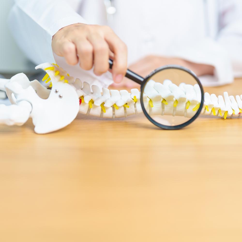 Specialized Services and Facilities