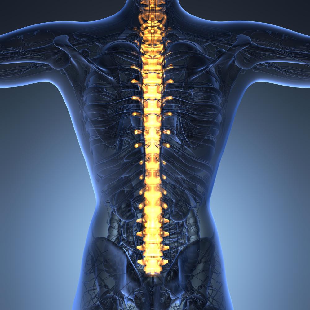 Individualized Treatment Options