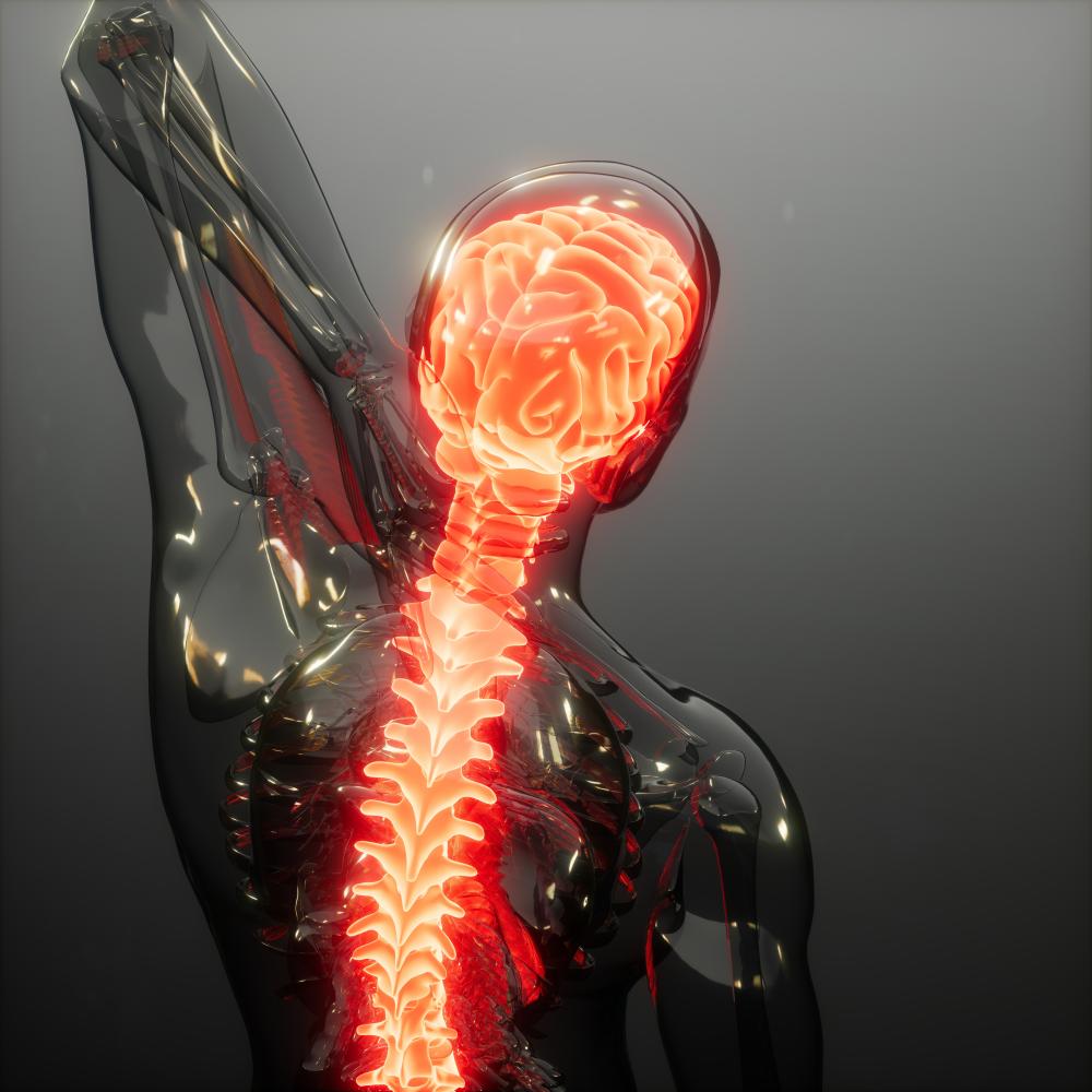 What Are the Benefits of Miami Stem Cells Spinal Cord Injury Treatments?