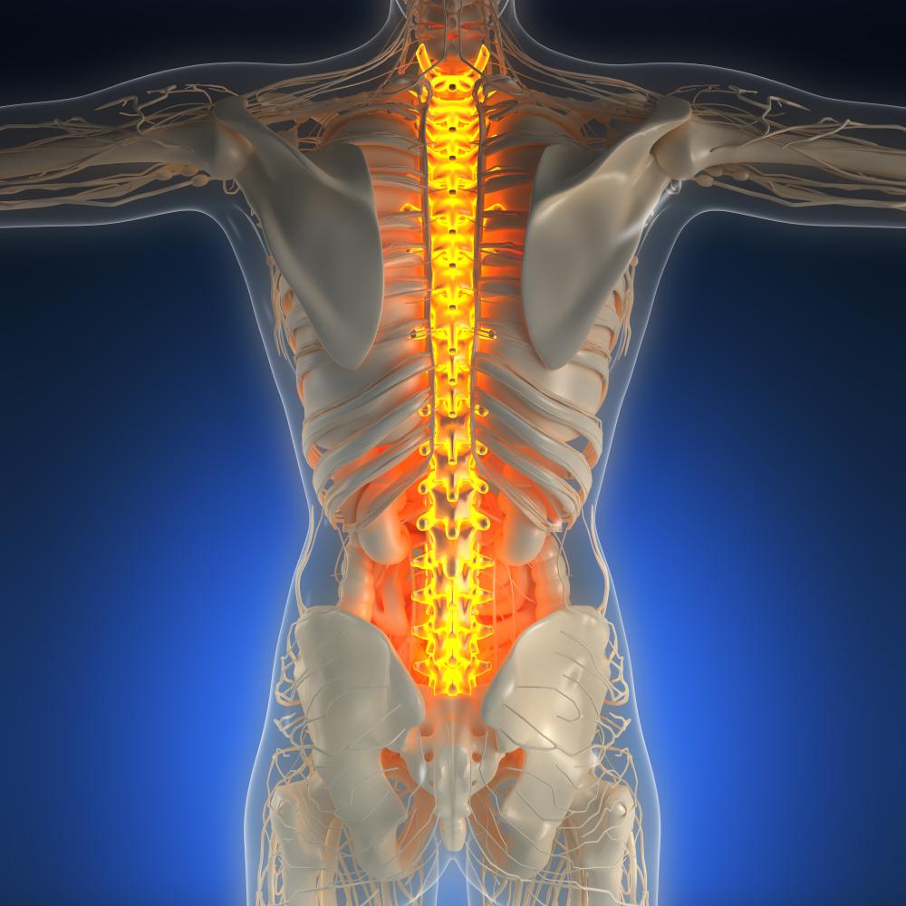 Legal Collaboration and Support