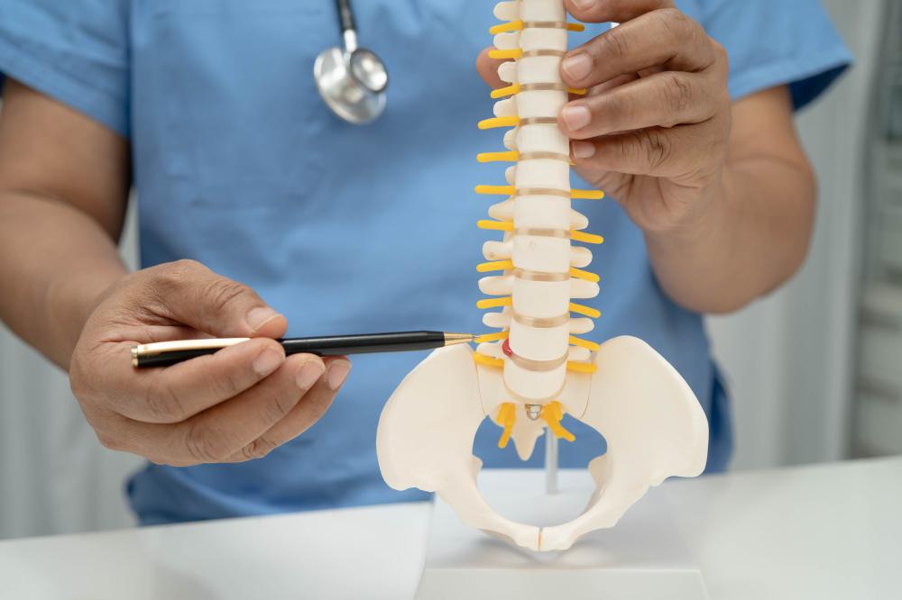 Integrated Services for Comprehensive Rehabilitation