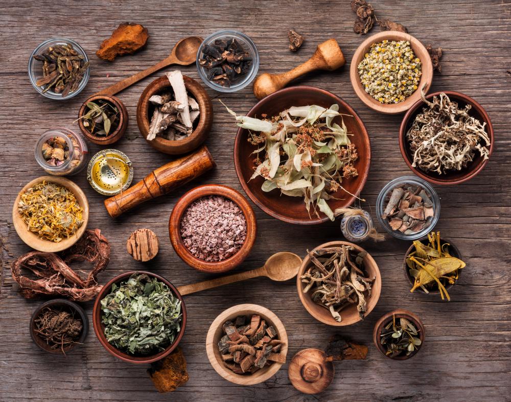 Assorted dried medical herbs symbolizing naturopathic medicine