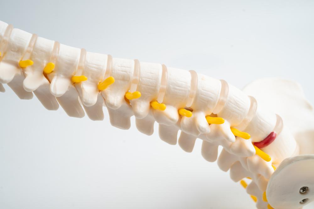 Integrated Therapies and Collaborative Care