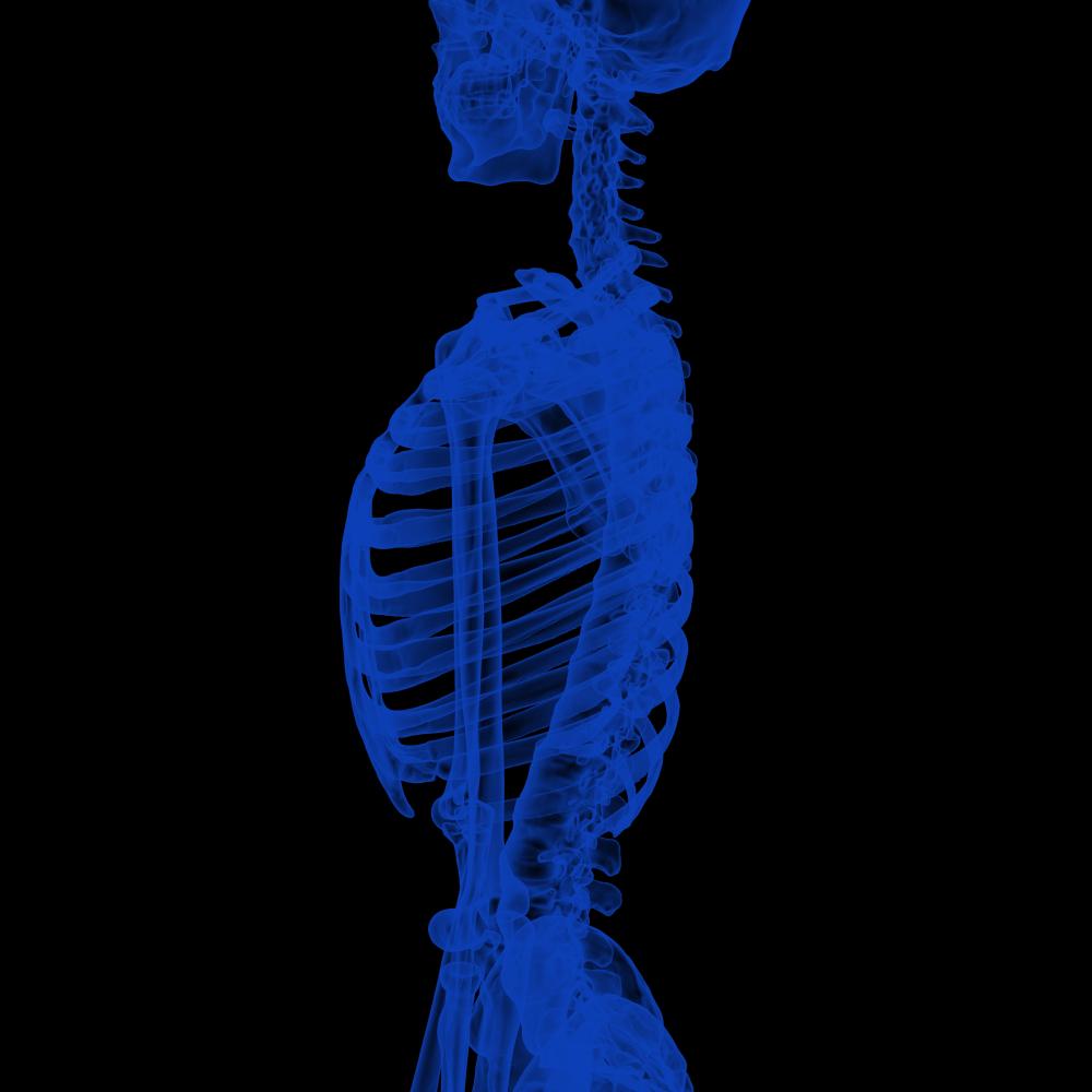 Experience and Expertise in Auto Accident Rehabilitation