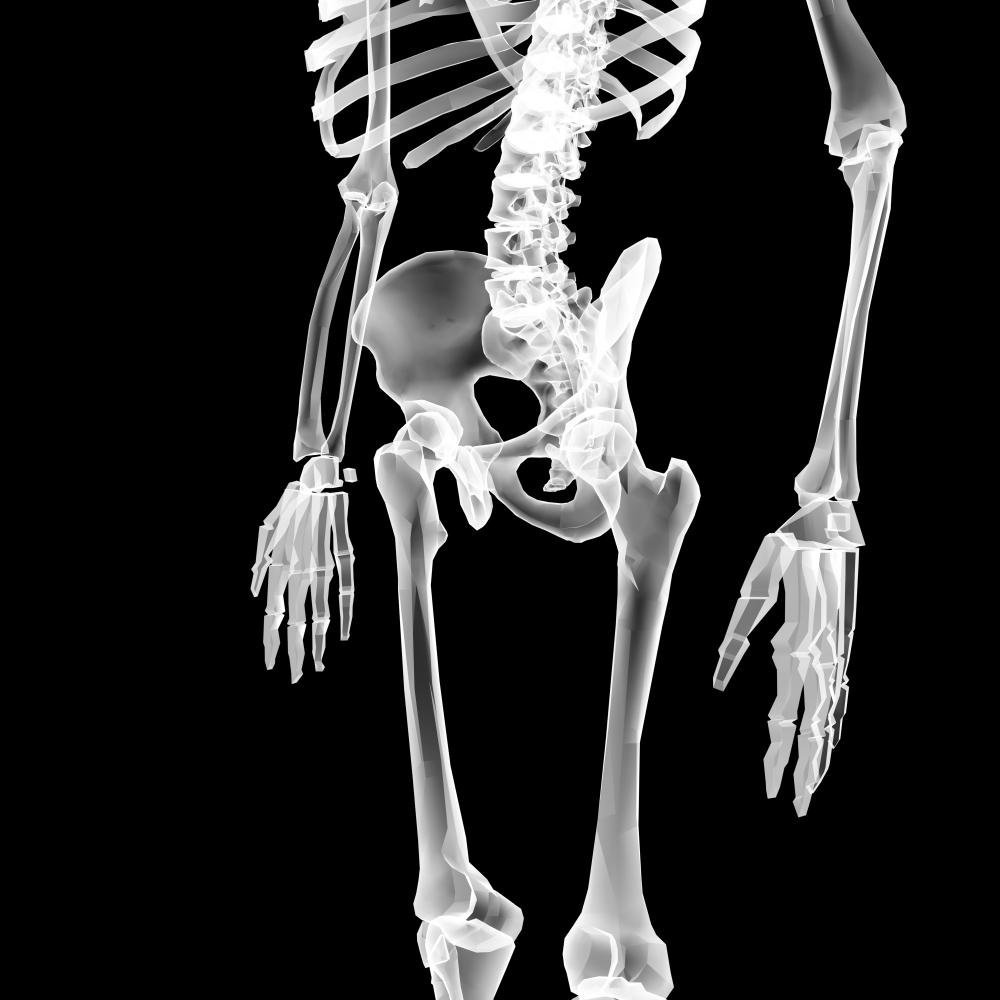 Integrated Care Approach at North Florida Chiropractic