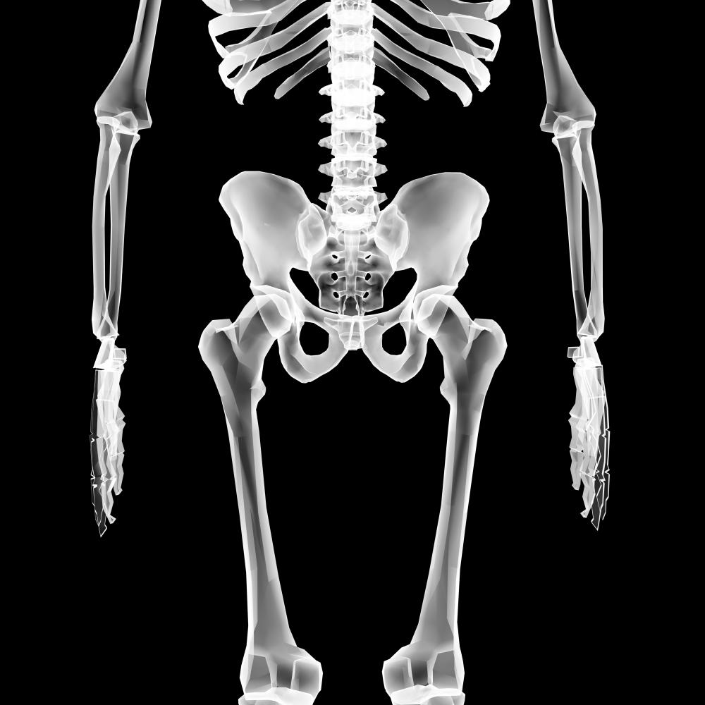 Legal Support and Collaborative Efforts