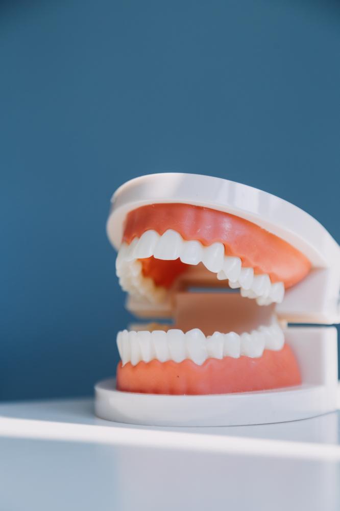 Artisan crafting high-quality dentures with precision equipment