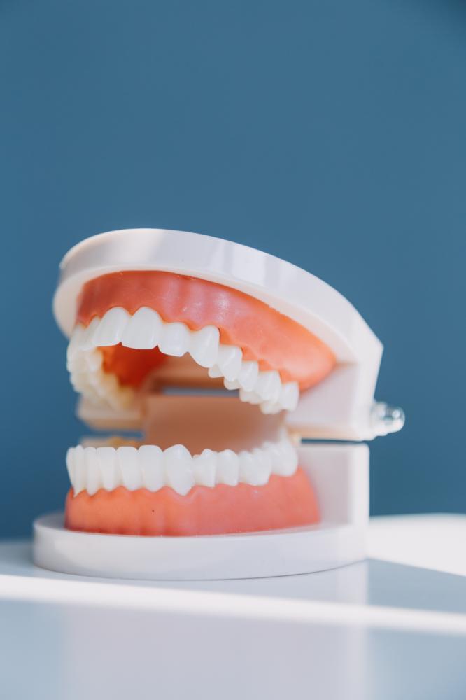 Comprehensive denture care and maintenance guide