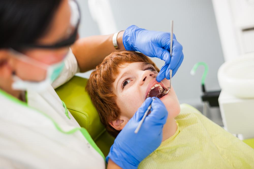 Comprehensive Family Dentist Services in Washington DC