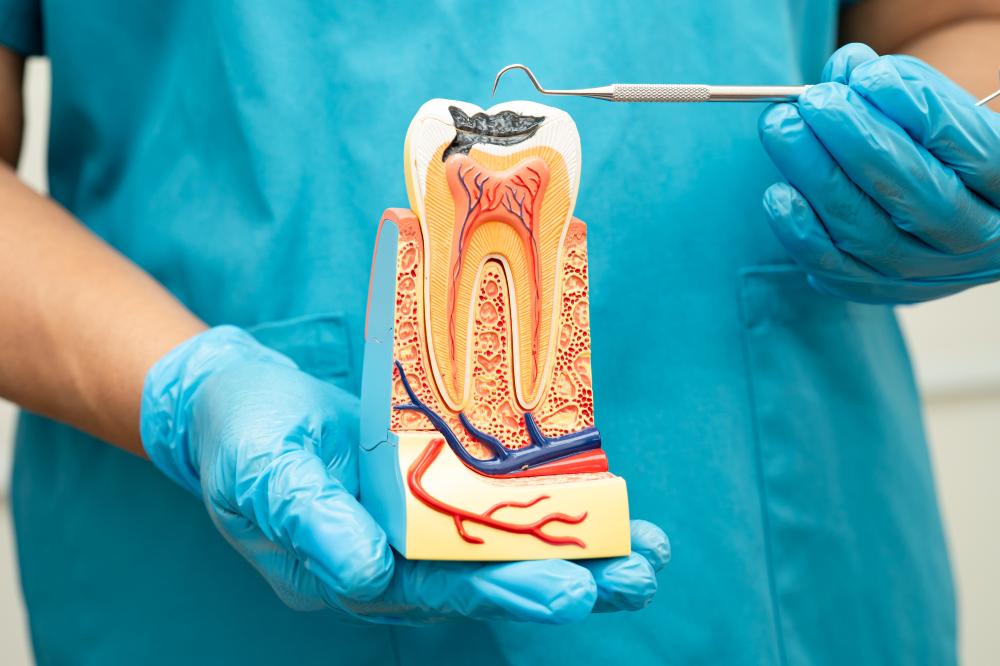 Digital Diagnostics Enhance Root Canal Treatment