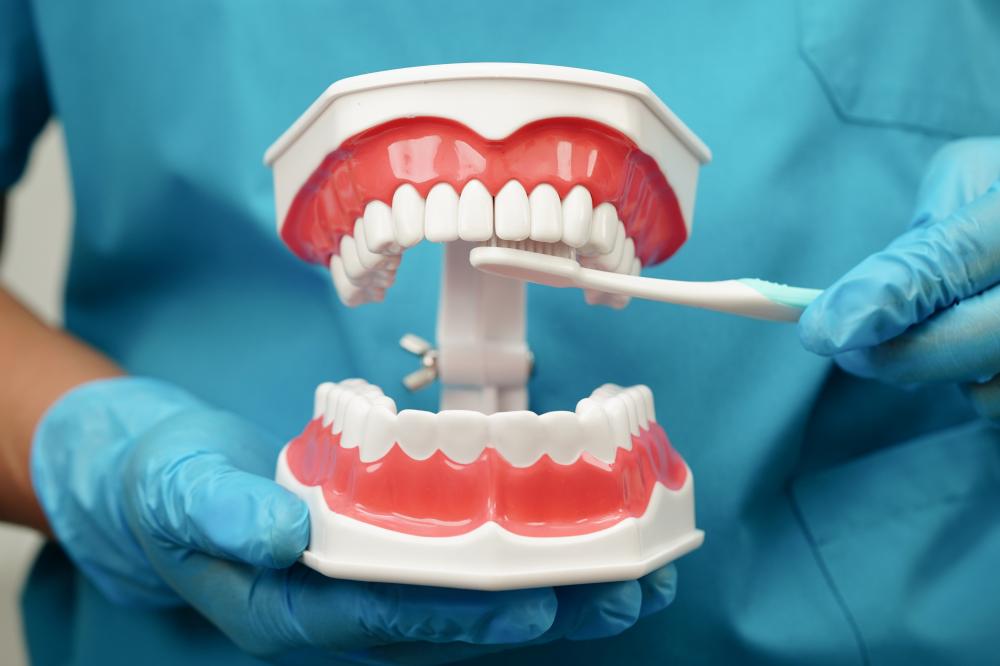 Expert Insights: What Makes a Dental Office Stand Out?