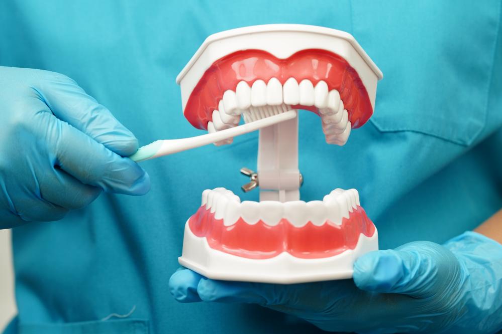 Services Offered by Dentists in Colorado Springs